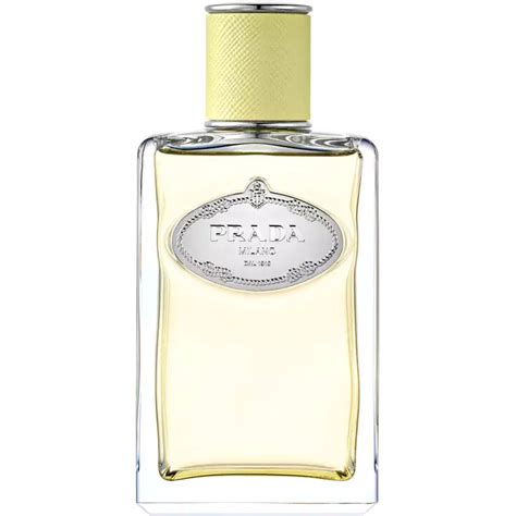 prada infusion de gingembre|flaconi Prada gingembre.